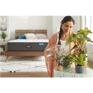 Beautyrest silver 14.5 shop dualcool plush